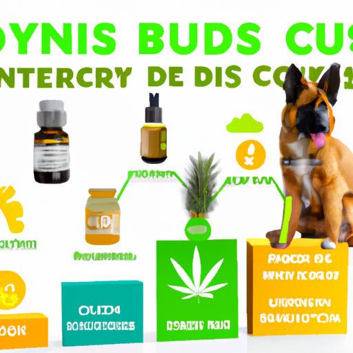 How to Choose the Right CBD Product for Your Dog
