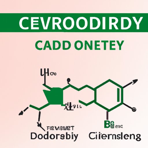 A Thorough Guide to Understanding the Possible Risks and Benefits of Combining CBD and Levothyroxine