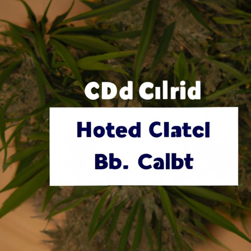 The Benefits of CBD in Controlling Cholesterol Levels