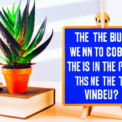 VI. Debunking the Myths and Misconceptions of CBD and THC Interaction