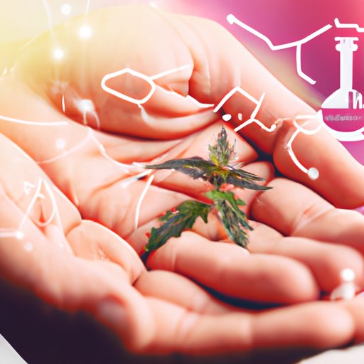 VIII. How to Choose the Right Hemp Extract with CBD for Your Needs