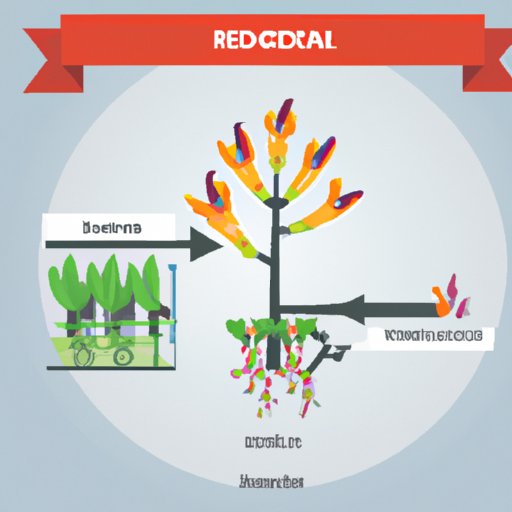 Breeding Reebro for Profit: A Guide To Maximizing Income