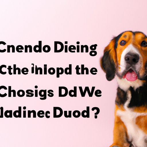 VI. The Debate Over CBD Oil Safety for Dogs: What You Need to Know