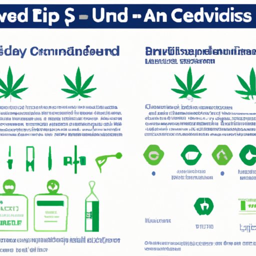 IV. Hemp and CBD Product Guide
