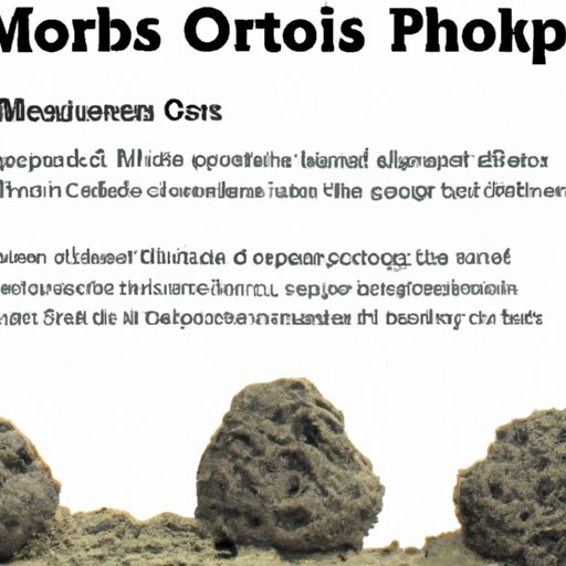 III. Exploring the Benefits of Using Moonrocks CBD for Pain Relief