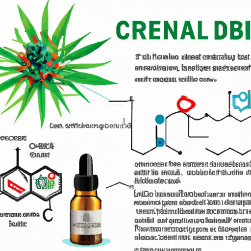 The Science Behind CBD and Nerve Pain