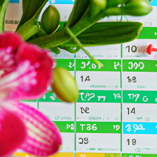 Planning for Seasons and Holidays