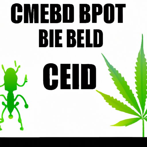 CBD and Hemp: Understanding the Health Benefits and Side Effects of Each