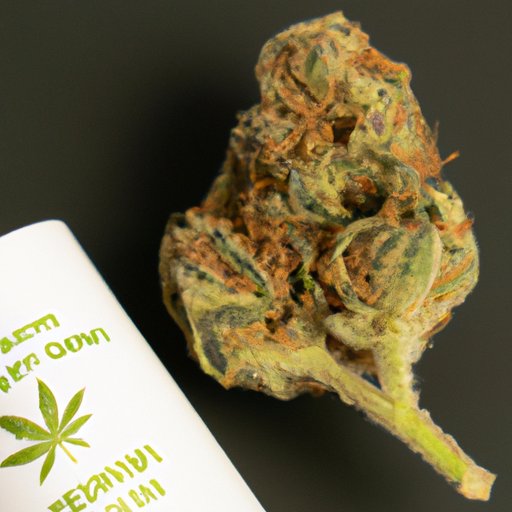 CBD Flower 101: How to Choose the Right Strain and Where to Buy