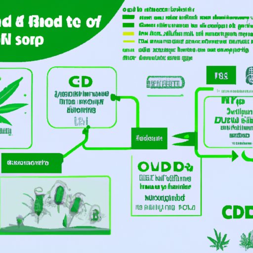 III. Following the Trail of CBD: How the Compound is Produced and Sourced Today