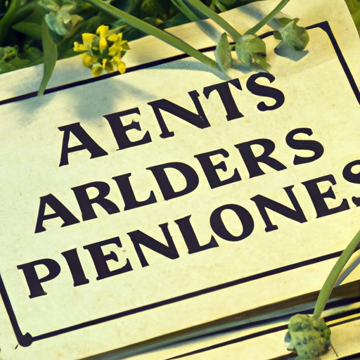 Expert Tips on Combining Herbs for a Bountiful Garden