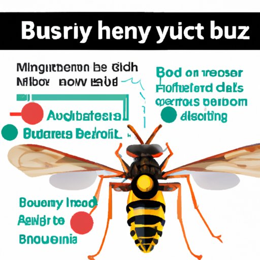 The Annoying Buzz: A Look at How Sound Draws Flies to Your Body
