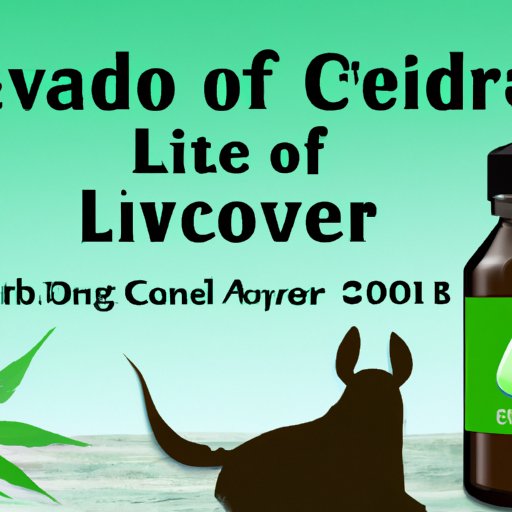 VII. Liver Health and CBD Oil: Looking at the Big Picture