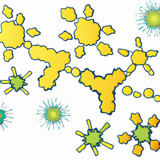 The Heroes of Our Immune System: The Cells that Produce Antibodies