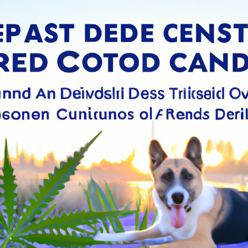 The potential side effects of CBD treats for dogs: What to watch out for