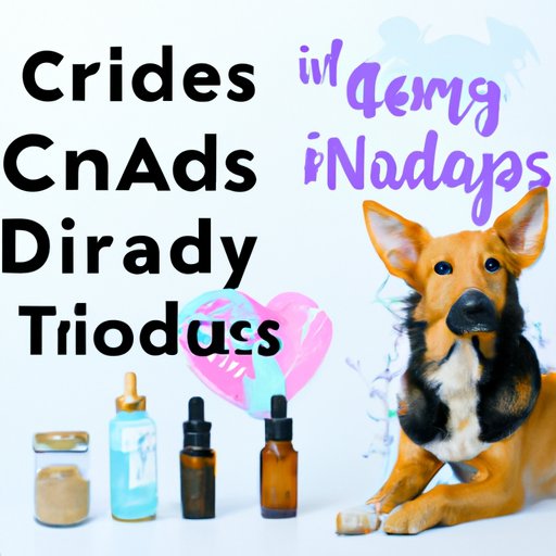 How to choose the right CBD treats for your furry friend: A guide for pet owners