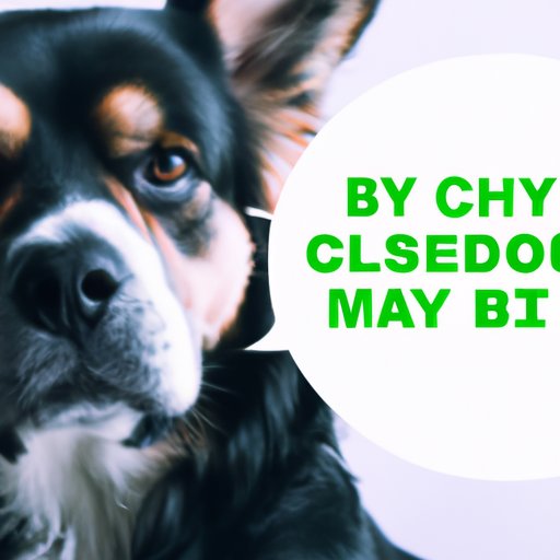5 Signs Your Dog Might be Having a Bad Reaction to CBD