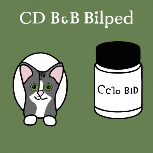 Comparing CBD Products for Cats