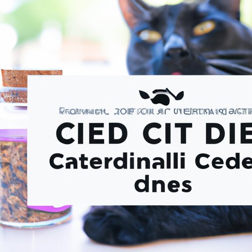 Benefits and Risks of Using CBD Treats for Cats