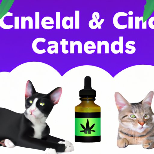 Cats and CBD: Understanding How It Works and Its Benefits