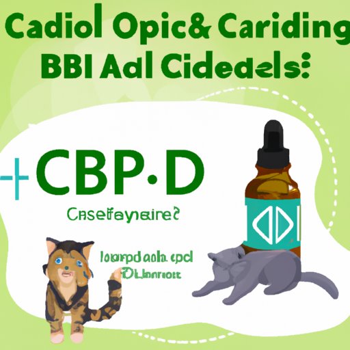 Safety Precautions When Using CBD Oil for Your Cat