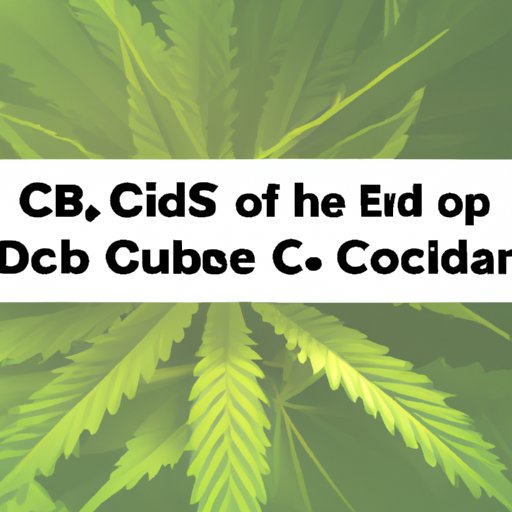 III. CBD Use Before Surgery: What Patients Should Know