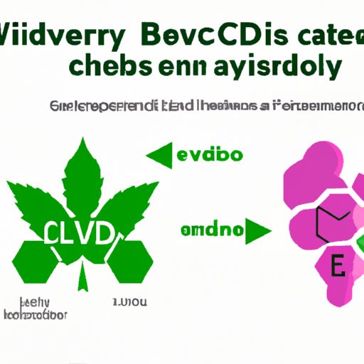 V. CBD and Liver Enzymes: Exploring the Link Between CBD Use and Liver Function