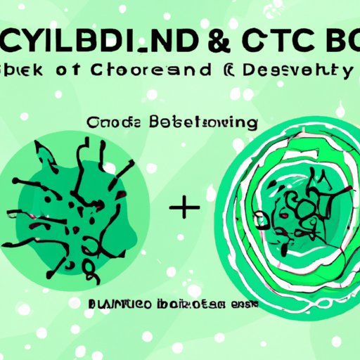 The Science behind CBD Absorption through Skin: A Comprehensive Guide