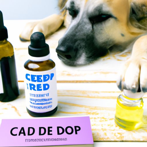 CBD vs. Prescription Medication: Comparing the Pros and Cons of Using CBD Oil for Dog Anxiety