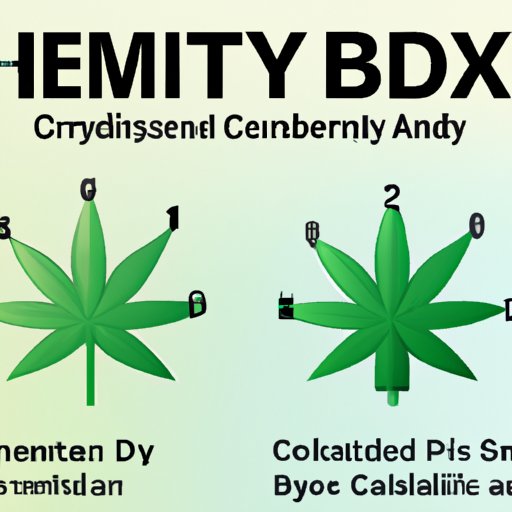 How CBD Affects Anxiety Levels