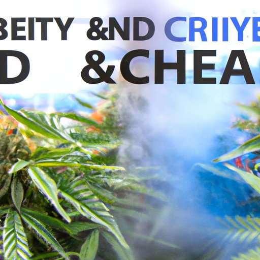 Clearing the Haze: Understanding the Relationship Between CBD and Blurry Vision