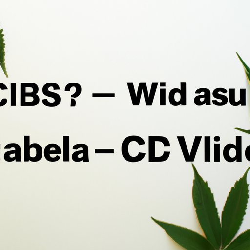 VI. The Pros and Cons of CBD for Nausea Relief