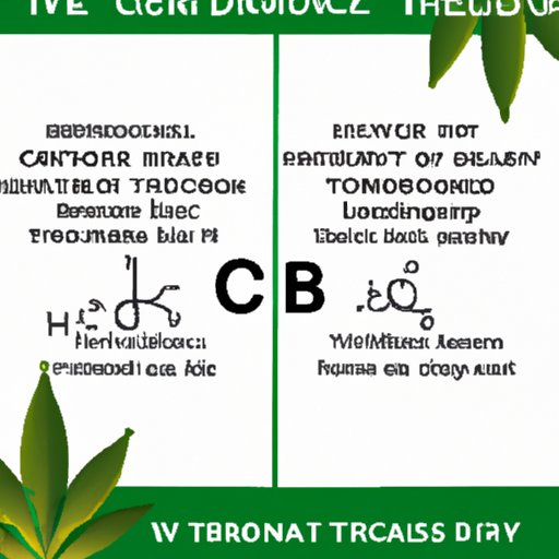 II. CBD vs. THC: Understanding the Differences and Effects on the Body