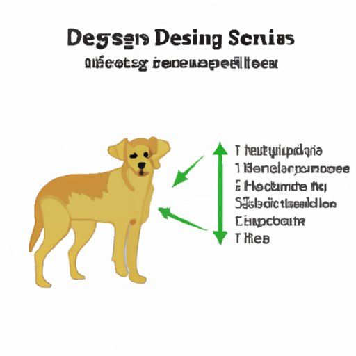 II. Understanding Seizures in Dogs