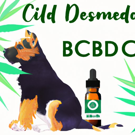 VII. Choosing the Right CBD Oil for Your Dog with Seizures