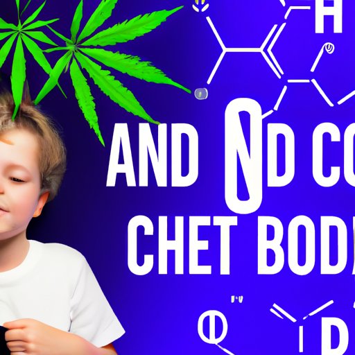 CBD vs. Traditional ADHD Medication: Pros and Cons