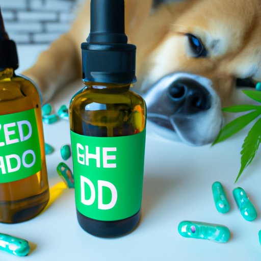 The Science Behind CBD as a Potential Treatment for Canine Seizures