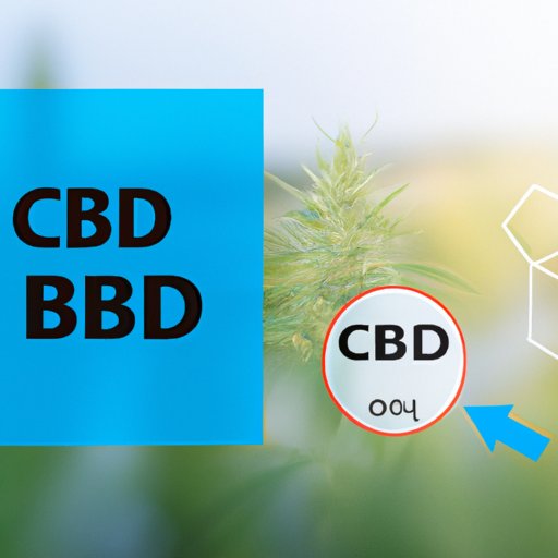 Scientific Studies on the Impact of CBD on Weight Loss