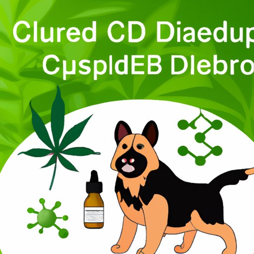 How to Use CBD with Your Dog Safely and Effectively