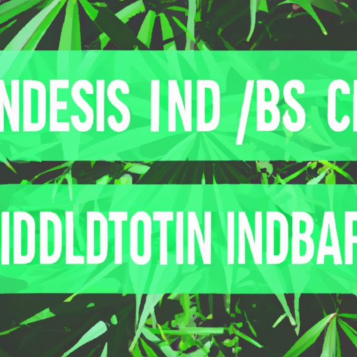 CBD and IBS: Separating Fact from Fiction