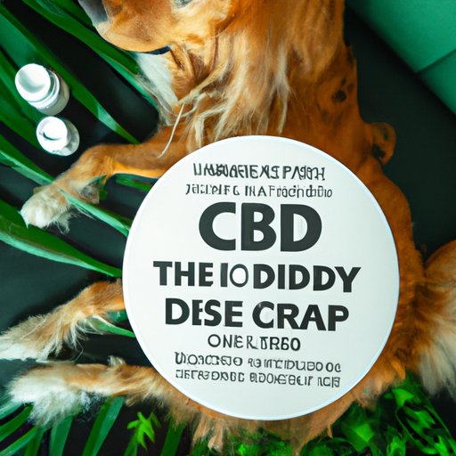 The Surprising Side Effect of CBD for Dogs: Increased Anxiety