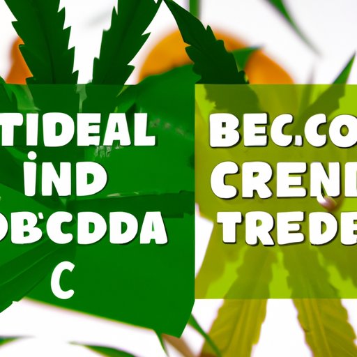 A Close Look at CBD and THC: The Variances and Benefits of Each