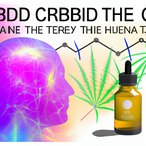 Investigating the Relationship Between THC and CBD and Their Effects on Paranoia