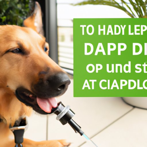 Administering CBD Oil to Dogs with Laryngeal Paralysis: Tips for Safety and Effectiveness