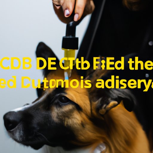 The Science Behind CBD Oil Allergies in Dogs
