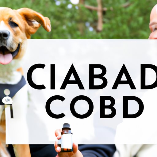 The Legal Landscape: What You Need to Know About CBD for Dogs