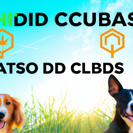 The Pros and Cons of CBD for Dogs: A Comprehensive Guide