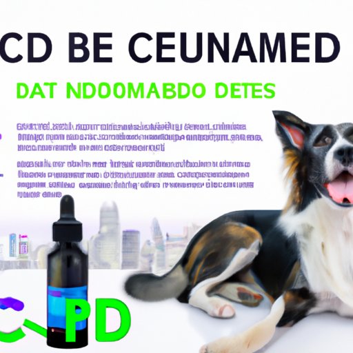 The Benefits of Using CBD Oil for Dogs as a Supplement for Various Medical Conditions
