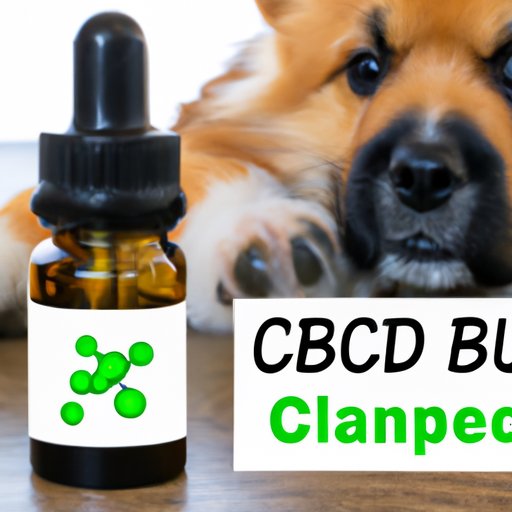 The Science Behind CBD Oil for Dogs: Exploring the Potential Health Benefits and Risks