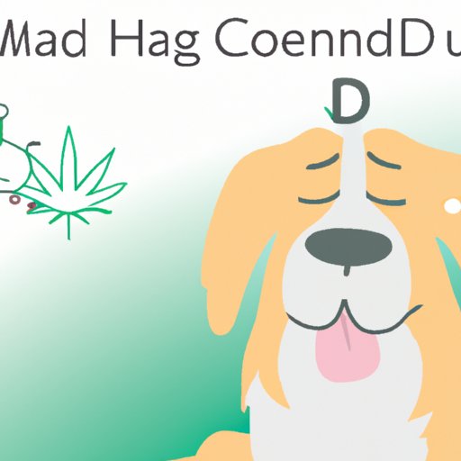 The Risks of Overdosing Your Pup on CBD: What You Need to Know